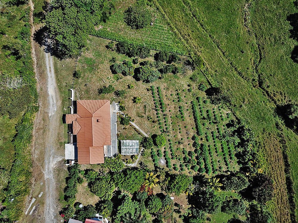 Withdrawn - Farm Property Near Volcan Panama - Well Established and Prepared for Goat Farm