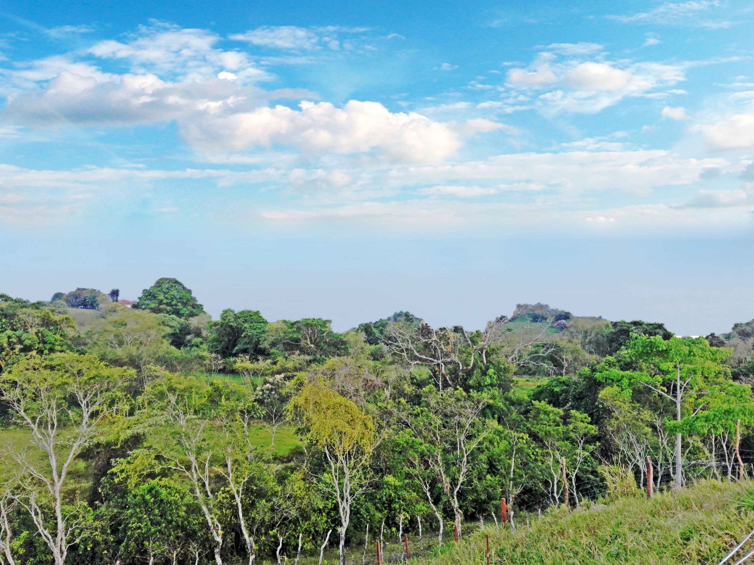 Withdrawn - Farm Property Near Volcan Panama - Well Established and Prepared for Goat Farm photo 10