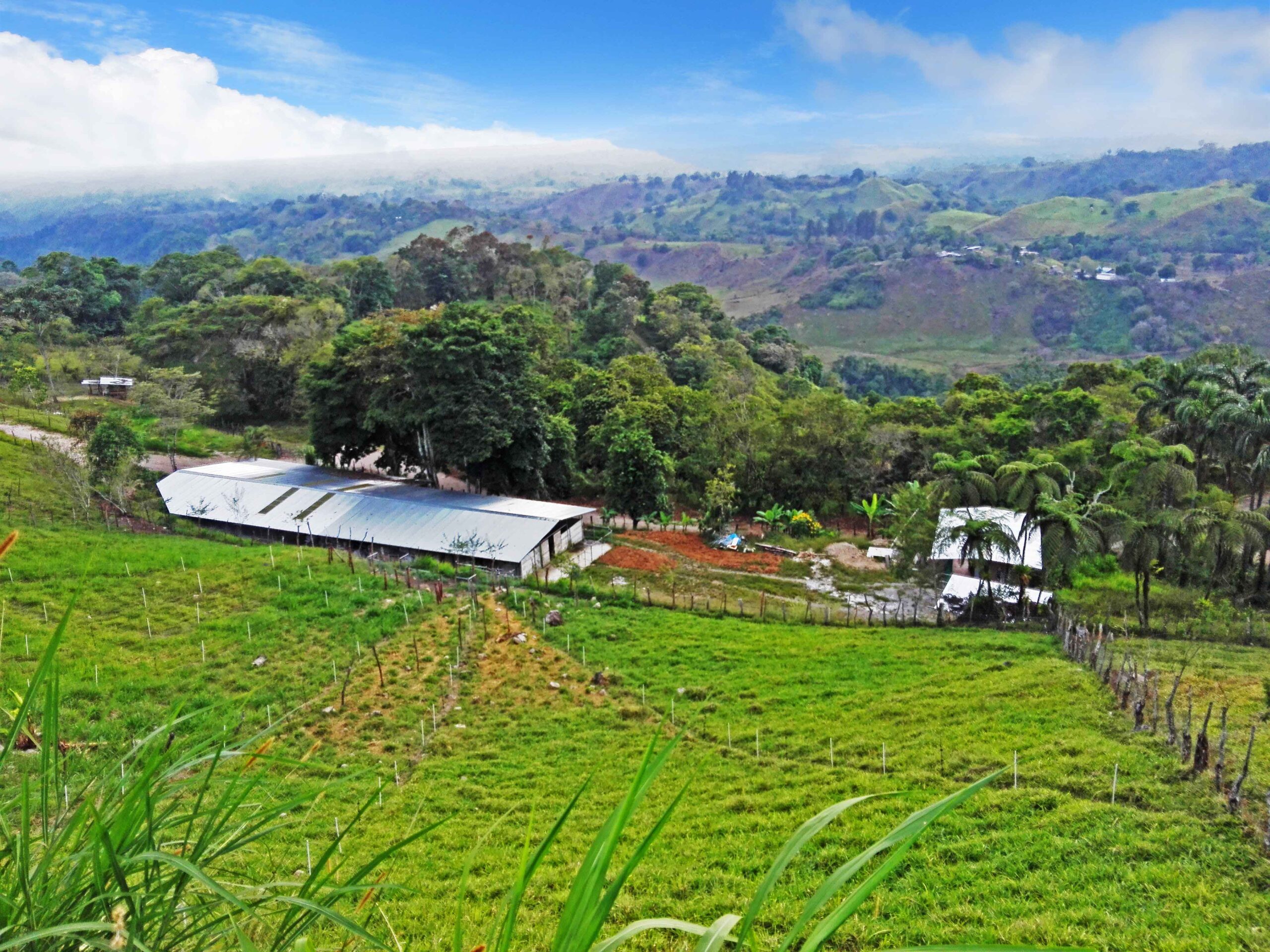 Withdrawn - Farm Property Near Volcan Panama - Well Established and Prepared for Goat Farm photo 7