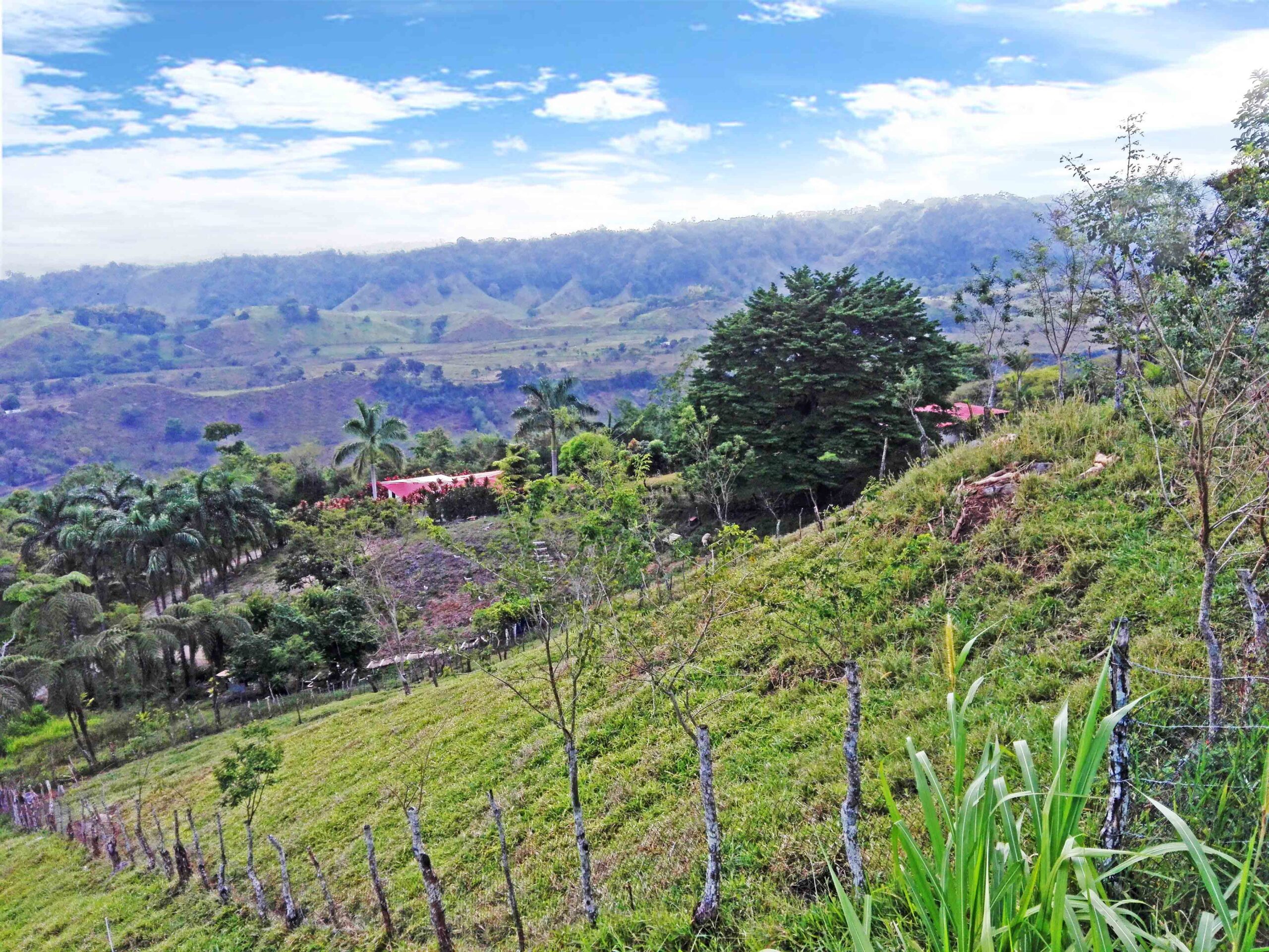 Withdrawn - Farm Property Near Volcan Panama - Well Established and Prepared for Goat Farm photo 8
