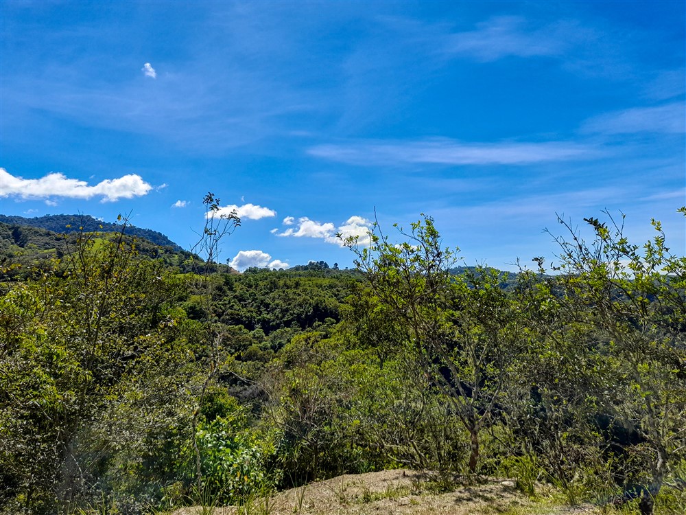 Withdrawn - Former Coffee Farm on 80 Acres with Water Concession for Bottling, River and Waterfall Close to Volcan for Sale photo 12