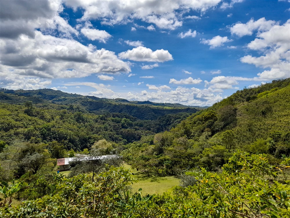 Withdrawn - Former Coffee Farm on 80 Acres with Water Concession for Bottling, River and Waterfall Close to Volcan for Sale photo 4