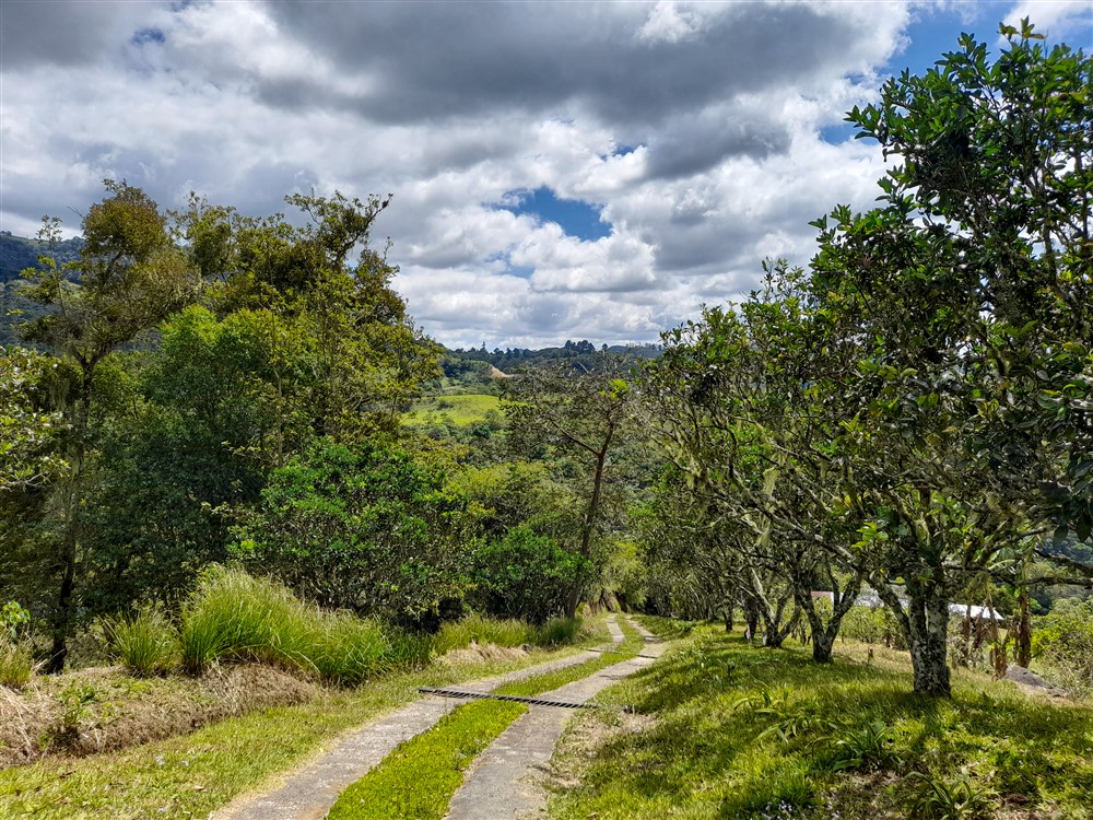 Withdrawn - Former Coffee Farm on 80 Acres with Water Concession for Bottling, River and Waterfall Close to Volcan for Sale photo 8