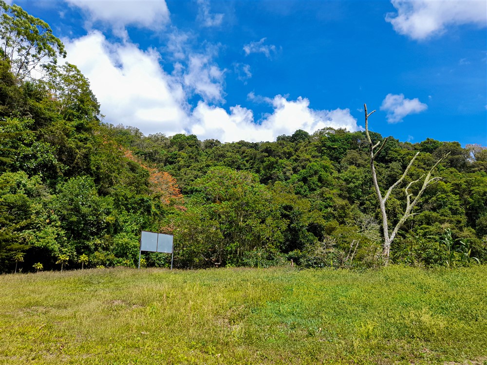Withdrawn - Former Coffee Farm on 80 Acres with Water Concession for Bottling, River and Waterfall Close to Volcan for Sale photo 10