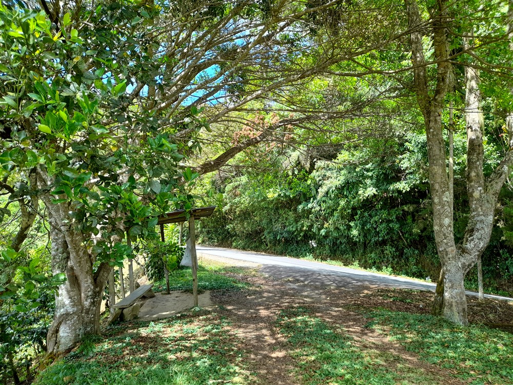Withdrawn - Former Coffee Farm on 80 Acres with Water Concession for Bottling, River and Waterfall Close to Volcan for Sale photo 11