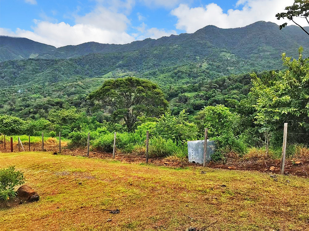 Huge Property Right Across From the Big New Hotel Horizonte with Casita Now For Sale - Enorme Propiedad Justo en Frente del Gran Nuevo Hotel Horizonte con Casita Ahora a la Venta photo 10