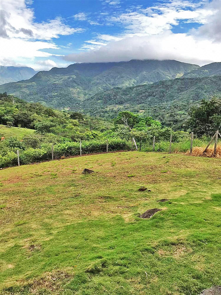 Huge Property Right Across From the Big New Hotel Horizonte with Casita Now For Sale - Enorme Propiedad Justo en Frente del Gran Nuevo Hotel Horizonte con Casita Ahora a la Venta photo 4