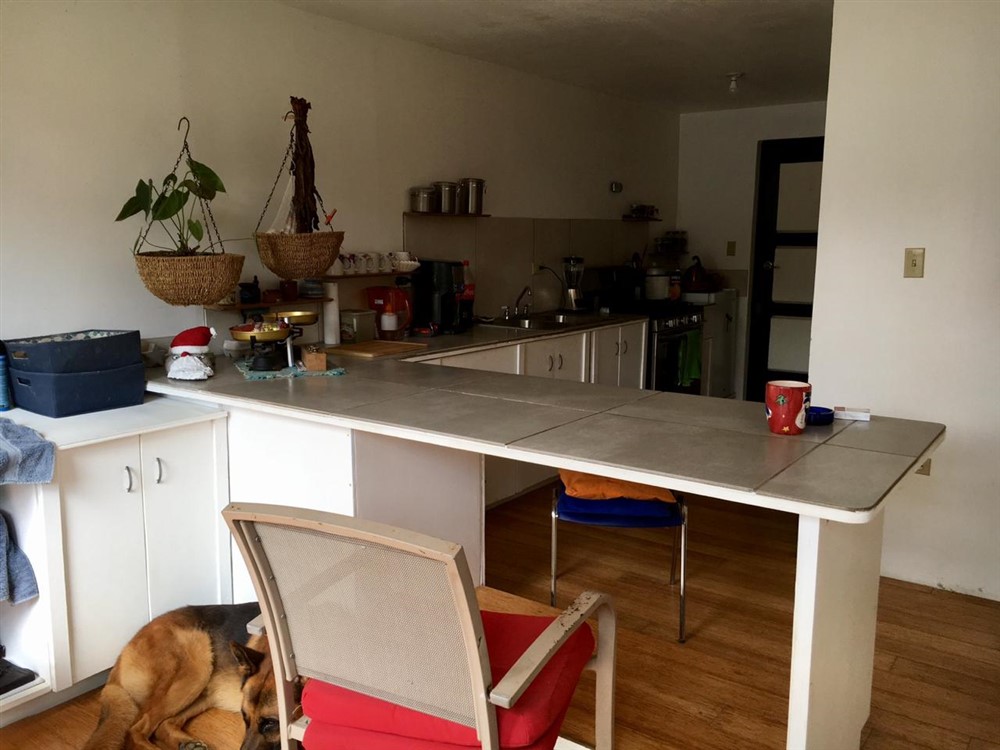 Unique Boquete property for Sale in Palmira, Chiriqui! House & Three Apartments, All Rolled Up Into One Sale photo 11