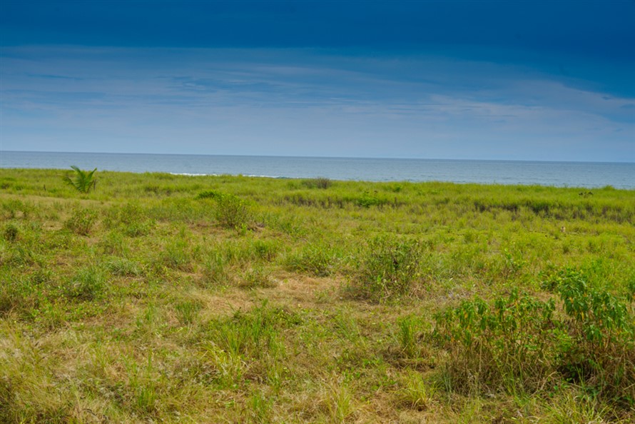 Large Ocean Lover's Lot with 40 Meters of Beachfront for Sale in Exclusive Section of Las Olas Gated Community in Panama photo 7