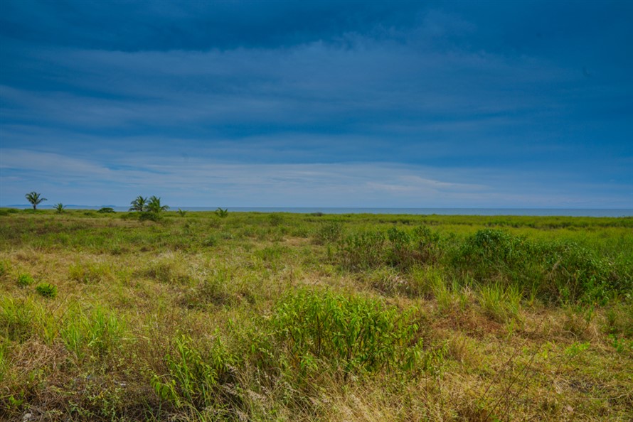 Large Ocean Lover's Lot with 40 Meters of Beachfront for Sale in Exclusive Section of Las Olas Gated Community in Panama photo 9