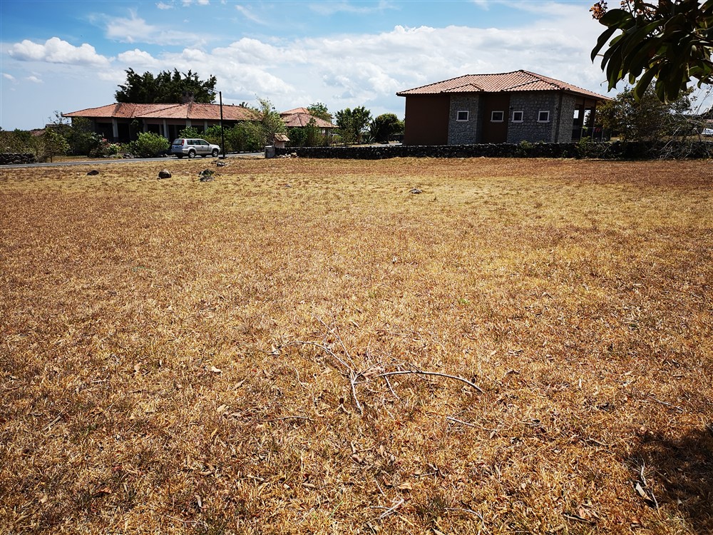 Withdrawn - Lot for Sale in Hacienda Los Molinos Residential Community, Boquete, Panama photo 10