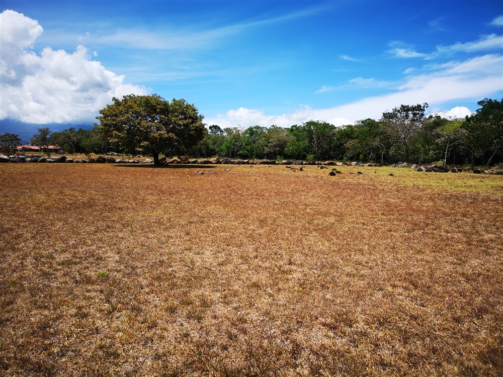 Withdrawn - Lot for Sale in Hacienda Los Molinos Residential Community, Boquete, Panama photo 3