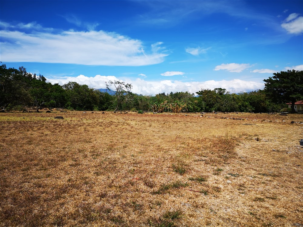Withdrawn - Lot for Sale in Hacienda Los Molinos Residential Community, Boquete, Panama photo 7