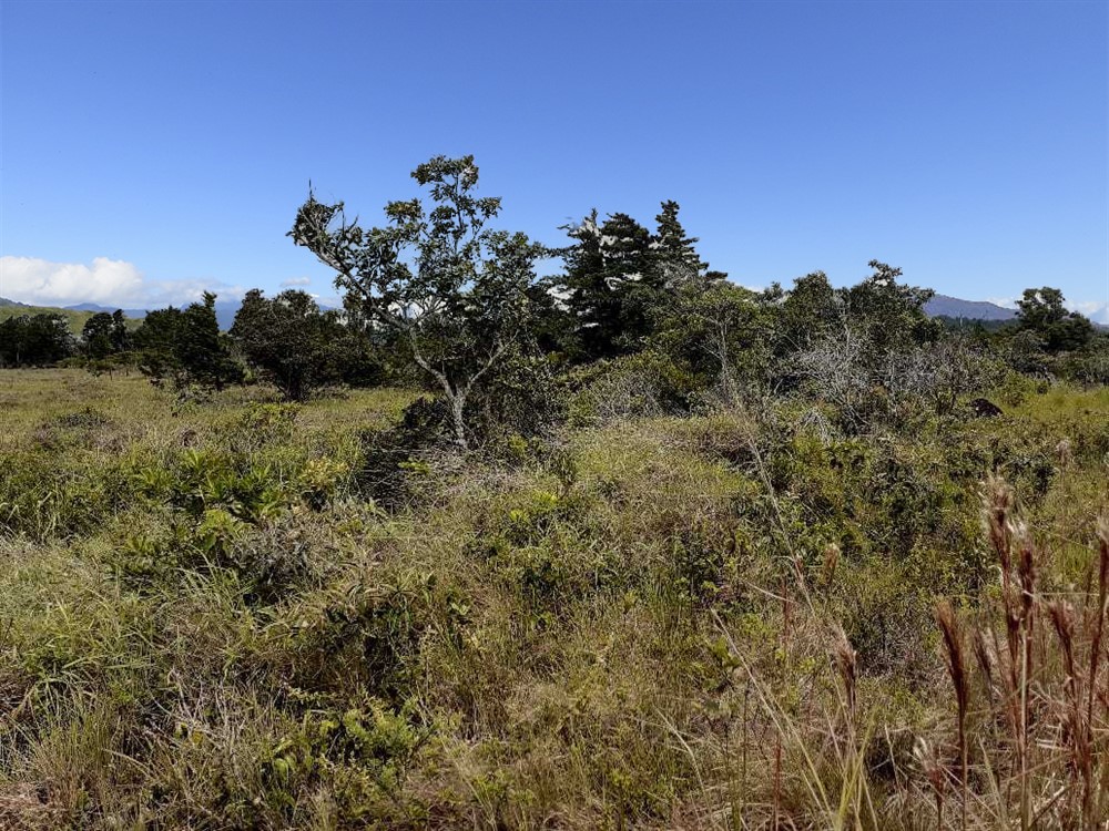 Withdrawn - Lovely Lot for Sale in Alto Boquete with Mountain Views photo 2