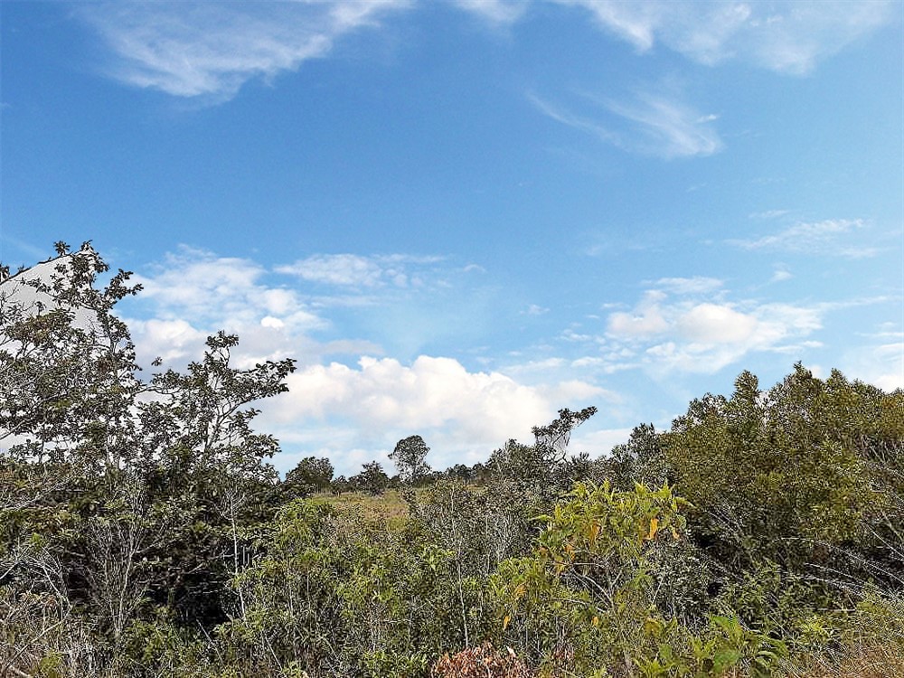 Withdrawn - Lovely Lot for Sale in Alto Boquete with Mountain Views photo 3