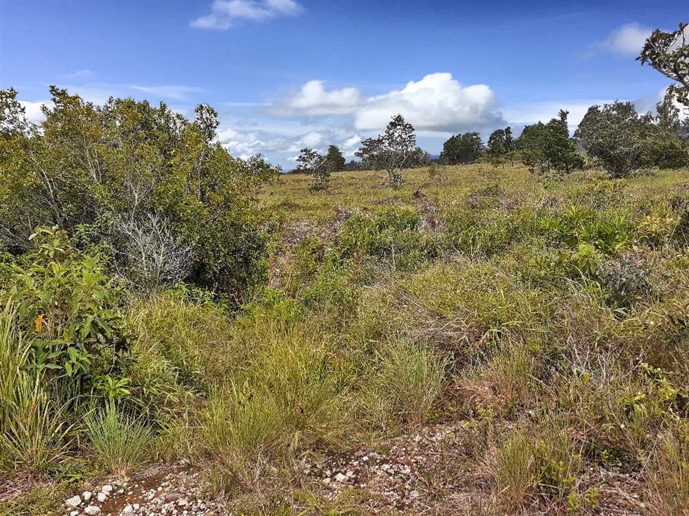 Withdrawn - Lovely Lot for Sale in Alto Boquete with Mountain Views photo 4