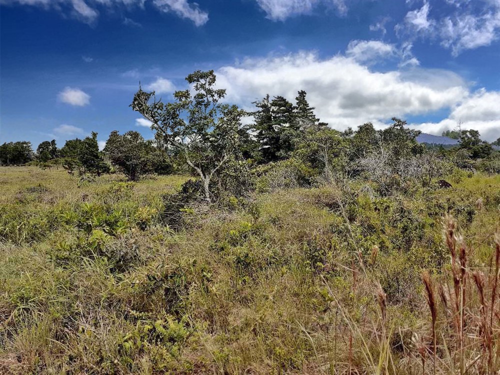 Withdrawn - Lovely Lot for Sale in Alto Boquete with Mountain Views photo 6