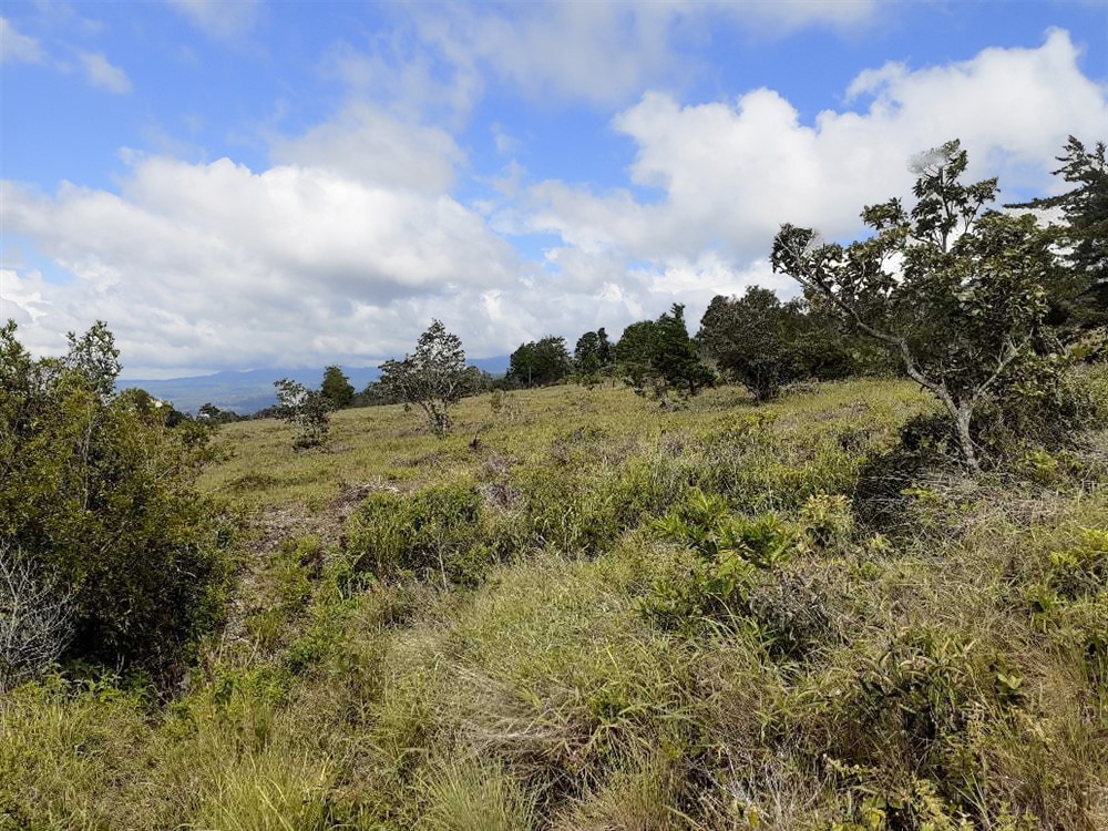 Withdrawn - Lovely Lot for Sale in Alto Boquete with Mountain Views photo 7