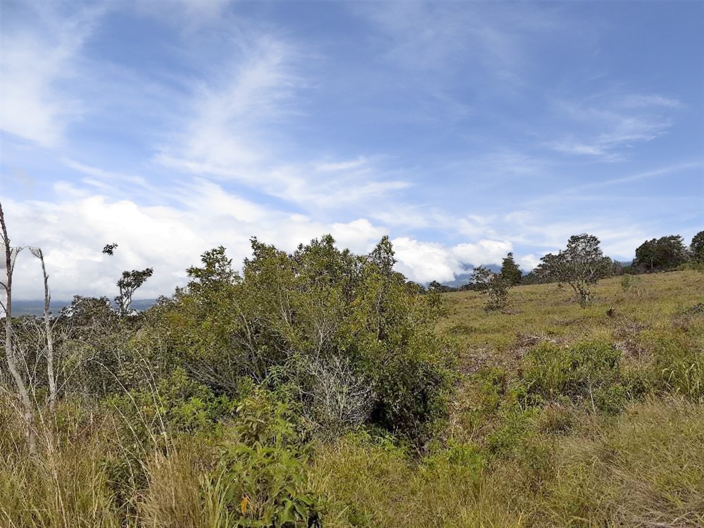 Withdrawn - Lovely Lot for Sale in Alto Boquete with Mountain Views photo 8