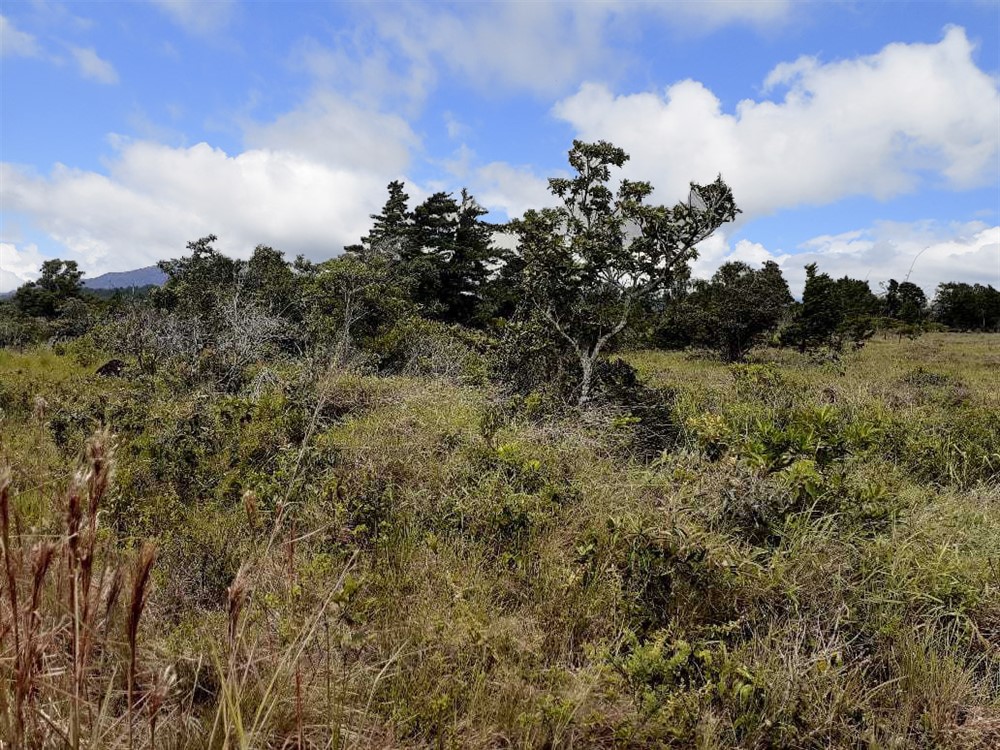 Withdrawn - Lovely Lot for Sale in Alto Boquete with Mountain Views photo 9