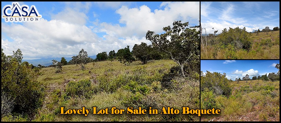 Withdrawn - Lovely Lot for Sale in Alto Boquete with Mountain Views