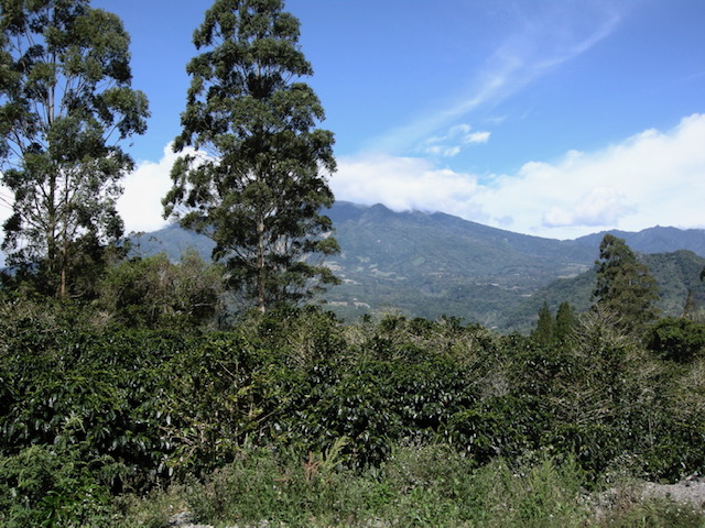 Premium Home Building Lot in Las Terrazas – Boquete Gated Community photo 4