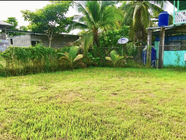 Withdrawn - Price Reduction! House for Sale on the Main Island, Isla Colón, Bocas del Toro, Panama photo 3
