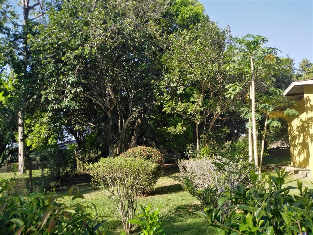 Withdrawn - Price Reduction! Next to Central Square in Dolega, Panama!  House with 2,480 Sq. Meters of Land - Close to Boquete & David - Junto a la Plaza Central en Dolega, Panamá! Casa con 2,480 m2 de tierra - Cerca de Boquete y David photo 12