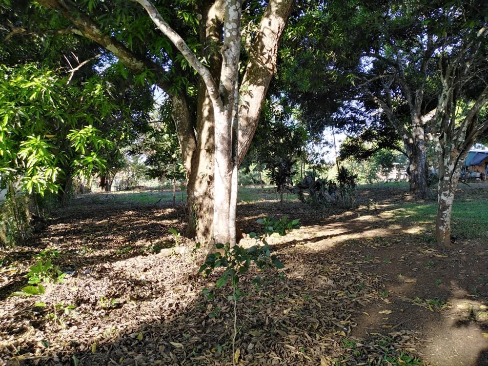 Withdrawn - Price Reduction! Next to Central Square in Dolega, Panama!  House with 2,480 Sq. Meters of Land - Close to Boquete & David - Junto a la Plaza Central en Dolega, Panamá! Casa con 2,480 m2 de tierra - Cerca de Boquete y David photo 5