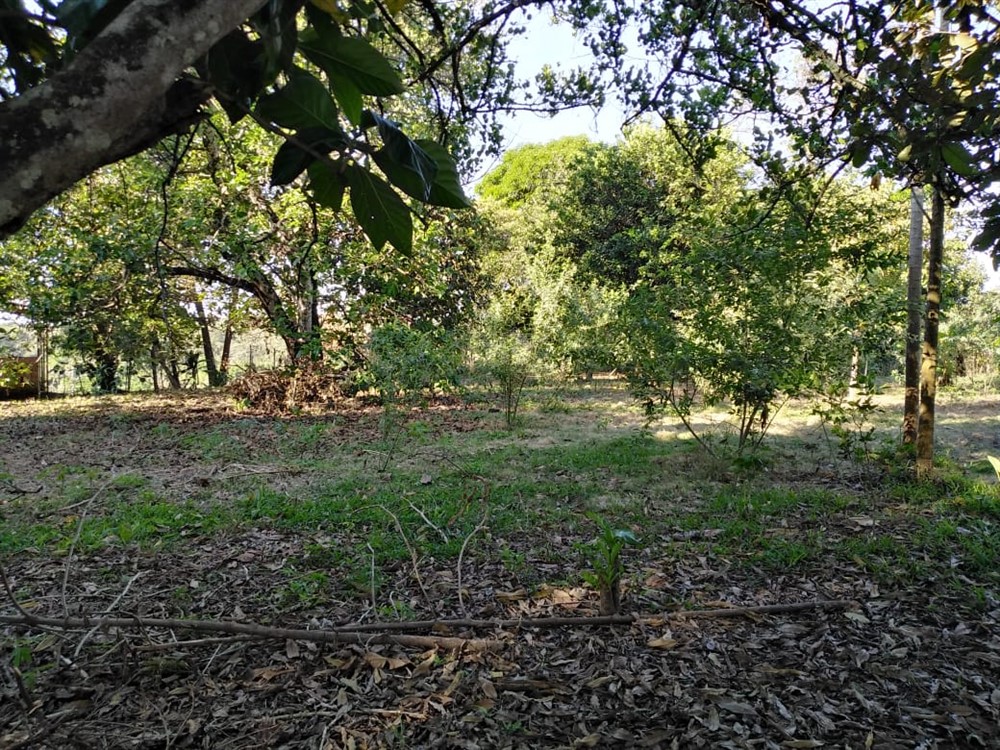 Withdrawn - Price Reduction! Next to Central Square in Dolega, Panama!  House with 2,480 Sq. Meters of Land - Close to Boquete & David - Junto a la Plaza Central en Dolega, Panamá! Casa con 2,480 m2 de tierra - Cerca de Boquete y David photo 6