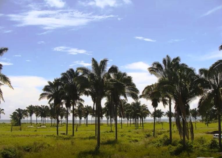 Puerto Armuelles Panama Beachfront and Riverfront Development Property photo 5
