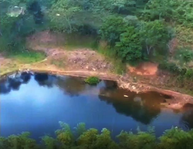 Withdrawn - Sustainable Food Source Tilapia & Sargento Lake Included with this Large Property - 23.5 Acres for Sale in Palma Real, Potrerillos, Panama photo 10