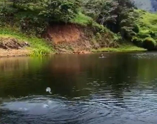 Withdrawn - Sustainable Food Source Tilapia & Sargento Lake Included with this Large Property - 23.5 Acres for Sale in Palma Real, Potrerillos, Panama photo 12