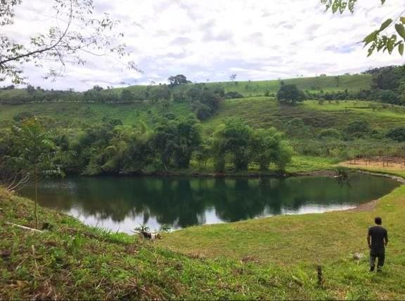 Withdrawn - Sustainable Food Source Tilapia & Sargento Lake Included with this Large Property - 23.5 Acres for Sale in Palma Real, Potrerillos, Panama photo 2