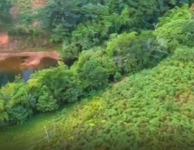 Withdrawn - Sustainable Food Source Tilapia & Sargento Lake Included with this Large Property - 23.5 Acres for Sale in Palma Real, Potrerillos, Panama photo 3