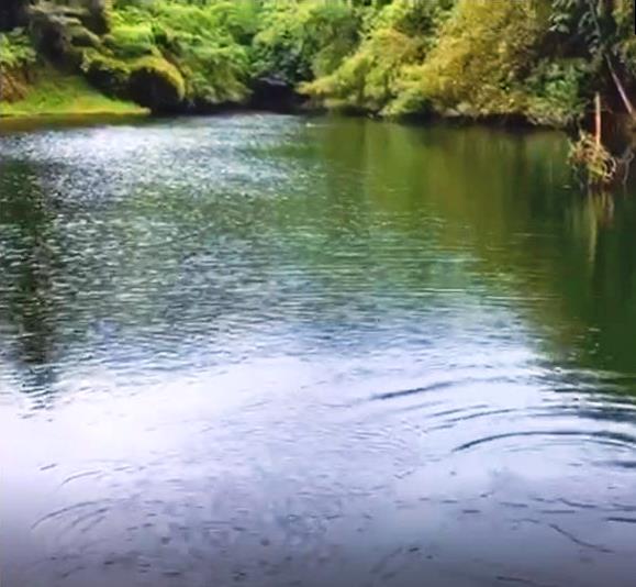 Withdrawn - Sustainable Food Source Tilapia & Sargento Lake Included with this Large Property - 23.5 Acres for Sale in Palma Real, Potrerillos, Panama photo 4