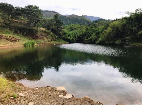 Withdrawn - Sustainable Food Source Tilapia & Sargento Lake Included with this Large Property - 23.5 Acres for Sale in Palma Real, Potrerillos, Panama photo 5