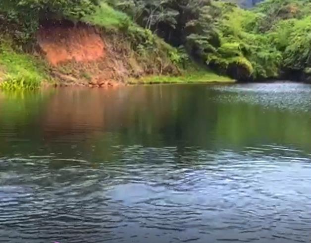 Withdrawn - Sustainable Food Source Tilapia & Sargento Lake Included with this Large Property - 23.5 Acres for Sale in Palma Real, Potrerillos, Panama photo 6