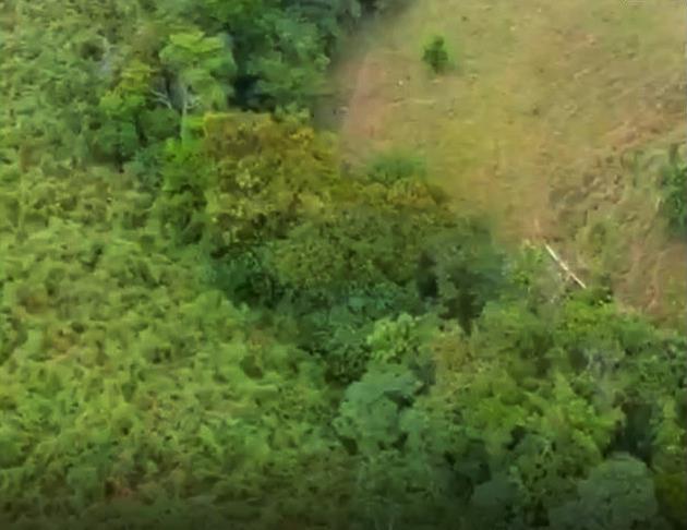 Withdrawn - Sustainable Food Source Tilapia & Sargento Lake Included with this Large Property - 23.5 Acres for Sale in Palma Real, Potrerillos, Panama photo 8