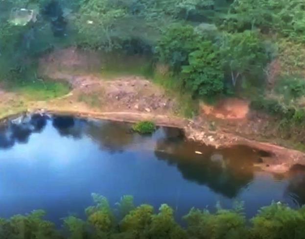 Withdrawn - Sustainable Food Source Tilapia & Sargento Lake Included with this Large Property - 23.5 Acres for Sale in Palma Real, Potrerillos, Panama photo 9