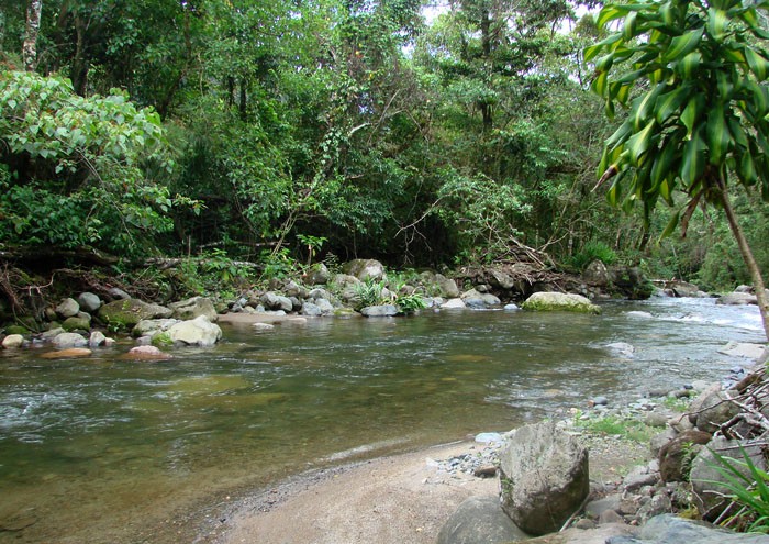 Under Contract! - Spacious Riverfront Natural Retreat House Plus Guest House Near Quetzal Trail for Sale in Bajo Mono, Boquete, Panama photo 12