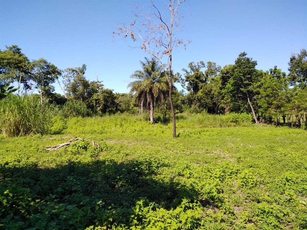 off market - Very Nice House for Sale with Nearly 4 Acres of Beautiful Land in Dolega Near David Panama and Boquete photo 11