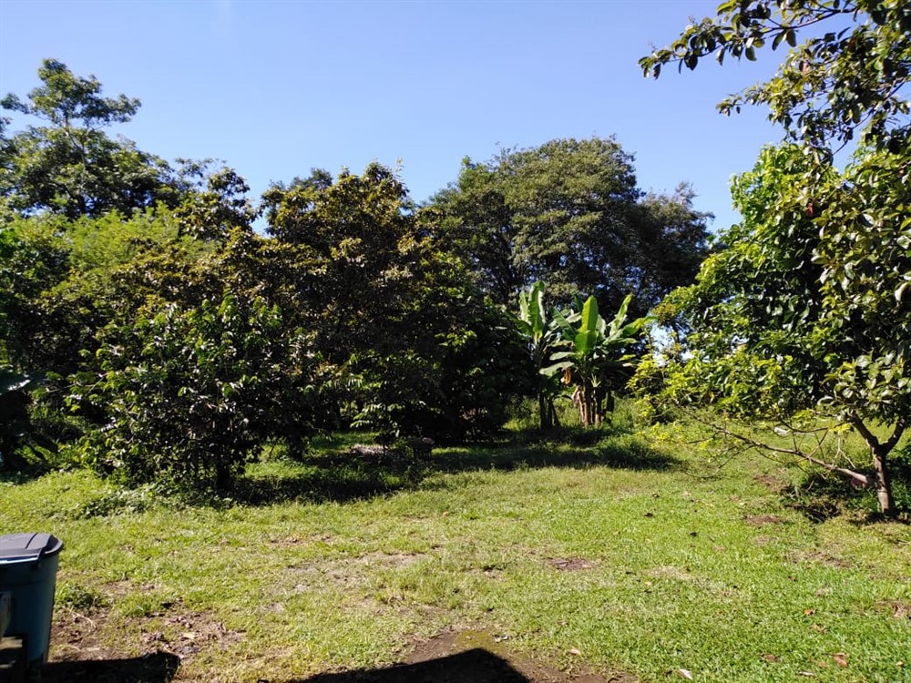 off market - Very Nice House for Sale with Nearly 4 Acres of Beautiful Land in Dolega Near David Panama and Boquete photo 9