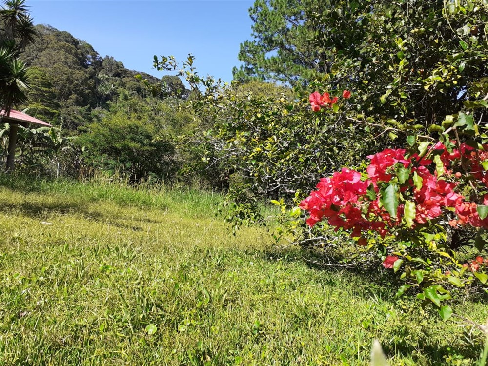 sold Affordable Building Site Lot for Sale in El Santuario next to Alto Lino, Boquete