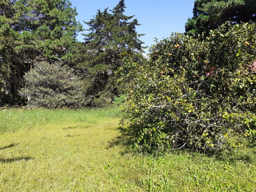 sold Affordable Building Site Lot for Sale in El Santuario next to Alto Lino, Boquete photo 11