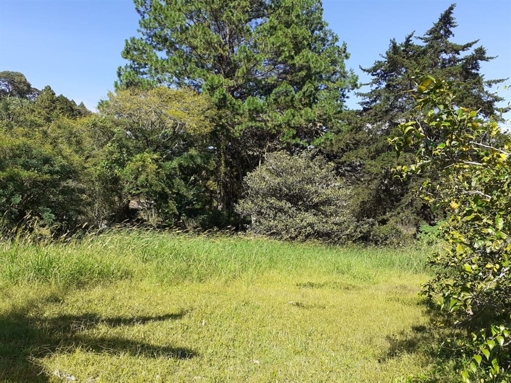sold Affordable Building Site Lot for Sale in El Santuario next to Alto Lino, Boquete photo 3