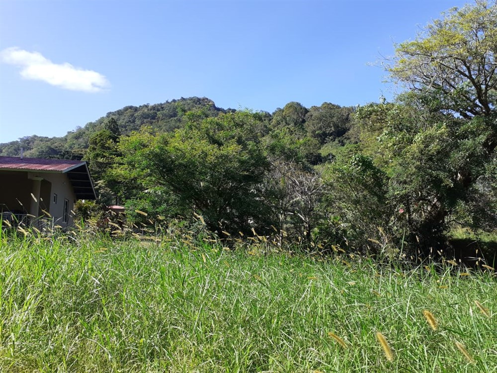 sold Affordable Building Site Lot for Sale in El Santuario next to Alto Lino, Boquete photo 4