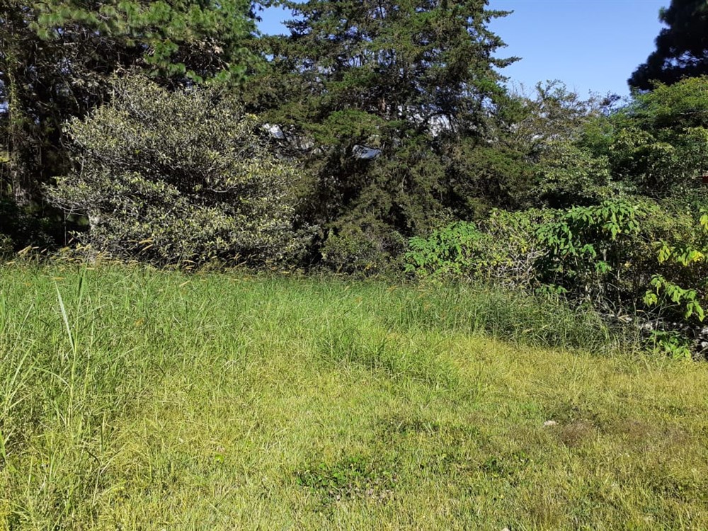 sold Affordable Building Site Lot for Sale in El Santuario next to Alto Lino, Boquete photo 6