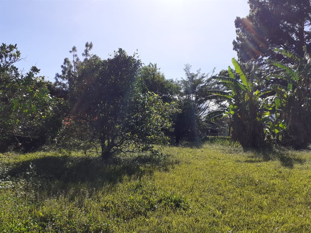 sold Affordable Building Site Lot for Sale in El Santuario next to Alto Lino, Boquete photo 7