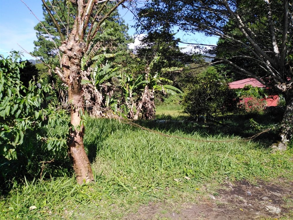 sold Affordable Building Site Lot for Sale in El Santuario next to Alto Lino, Boquete photo 8